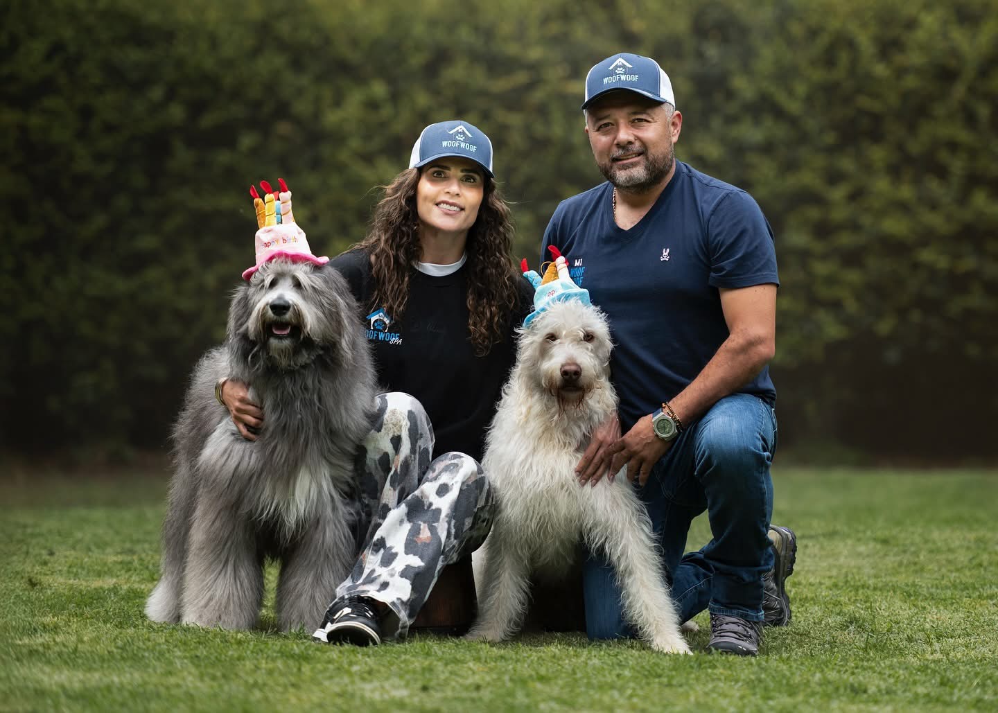 Guardería para perros en CDMX